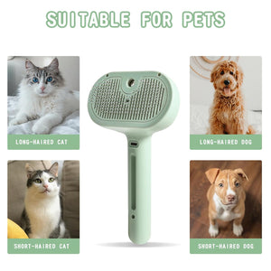 2 in 1 Cleaning Brush for Cats